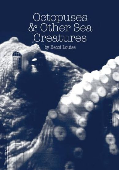 Octopuses and Other Sea Creatures