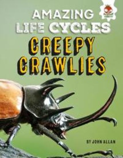Amazing Life Cycles-Minibeasts