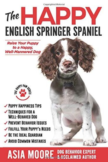 The Happy English Springer Spaniel