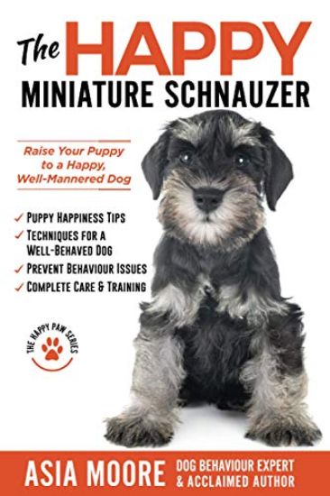 The Happy Miniature Schnauzer