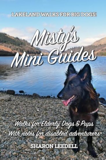 Misty's Mini Guides