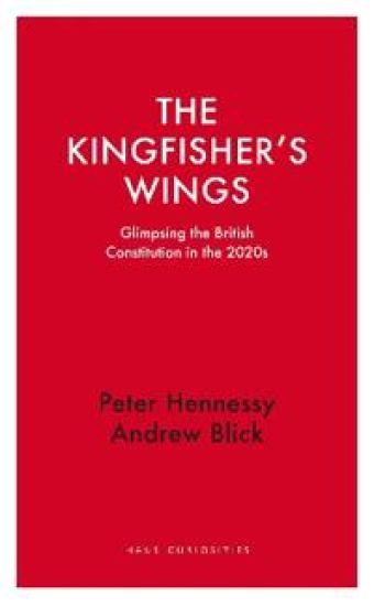 The Kingfisher's Wings