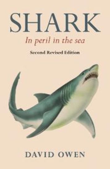 Shark
