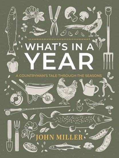 What's in a Year