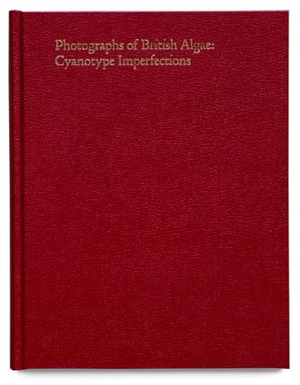 Cyanotype Imperfections