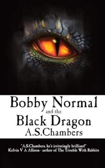 Bobby Normal and the Black Dragon