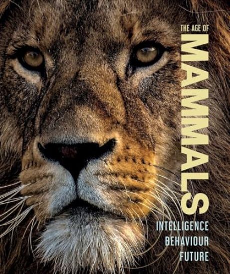 The Age of Mammals