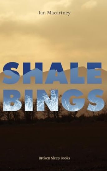 Shale Bings