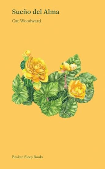 Sueño del Alma