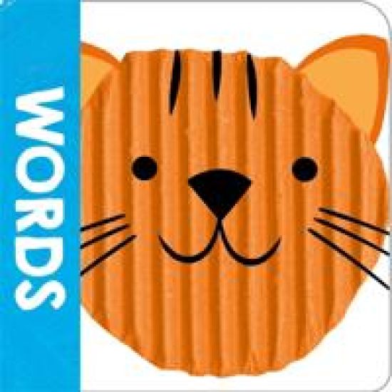 See, Touch, Feel Words (Chunky Set - Book 2)