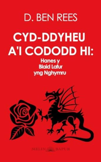 Cyd-ddyheu a'i Cododd Hi
