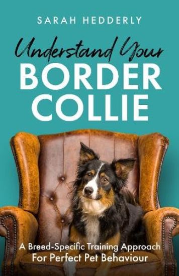 Kansikuva: Understand Your Border Collie