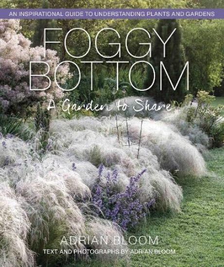 Kansikuva: Foggy Bottom