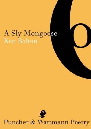 Sly Mongoose
