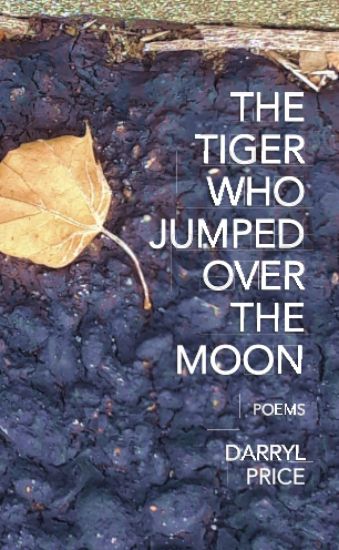 The Tiger Who Jumped Over The Moon