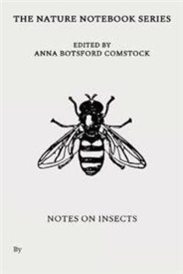 Notes on Insects