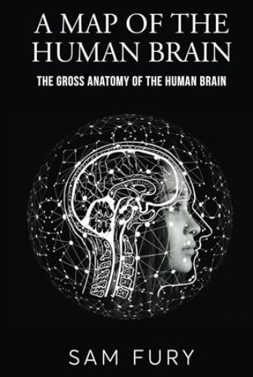 A Map of the Human Brain