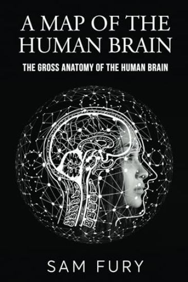 A Map of the Human Brain