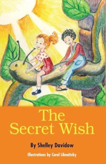 The Secret Wish