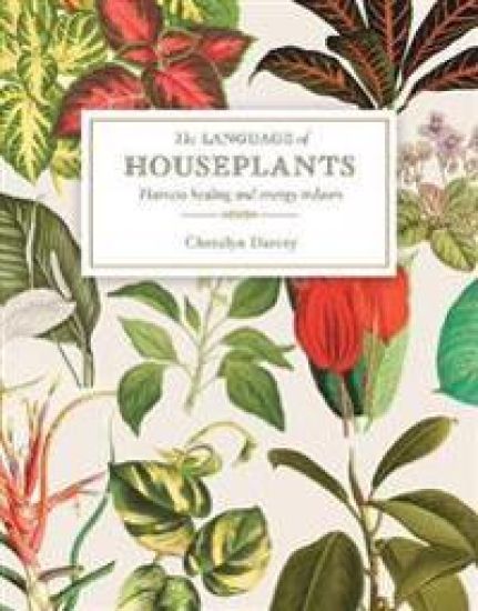 The Language of Houseplants