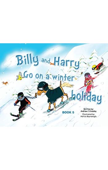 Billy and Harry go on a Winter Holiday