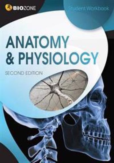 AnatomyPhysiology