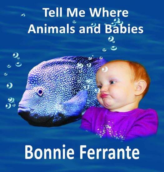 Tell Me Where: Animals and Babies