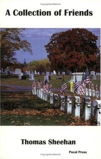 A Collection of Friends