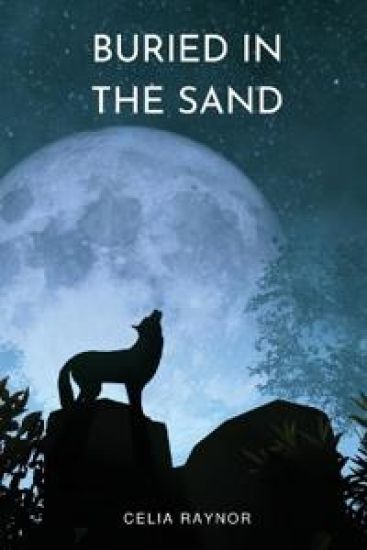 Buried in the Sand