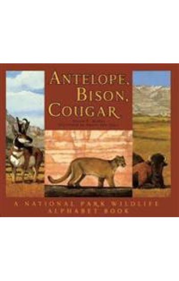 Antelope, Bison, Cougar