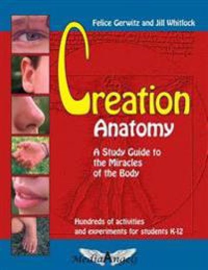 Creation Anatomy: A Study Guide to the Miracles of the Body