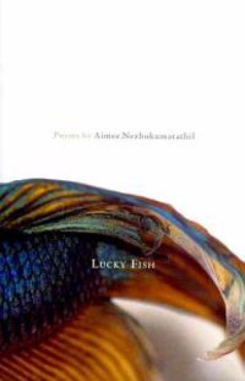 Lucky Fish