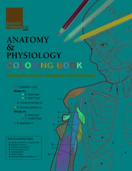 Anatomy & Physiology Colouring Book