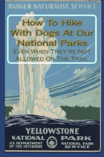 How to Hike with Dogs at Our National Parks - Even When They're Not Allowed on the Trail