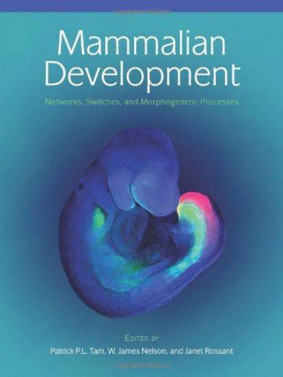 Mammalian Development: Networks, Switches, and Morphogenetic Processes