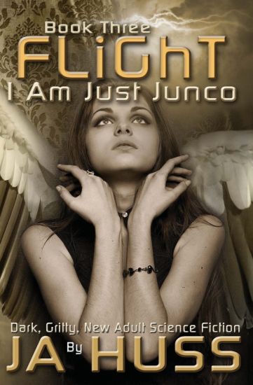 Flight: I Am Just Junco #3