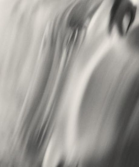 Henry O. Head: Twelve Acres