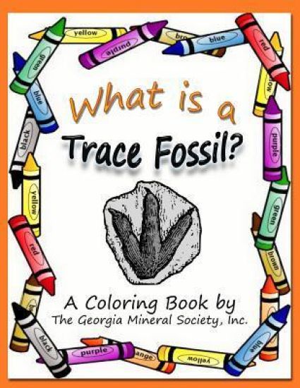 What Is a Trace Fossil?: A Coloring Book by the Georgia Mineral Society, Inc.