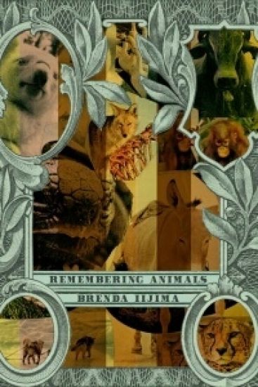 Remembering Animals