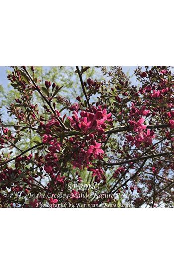 Spring in the Creasey Mahan Nature Preserve