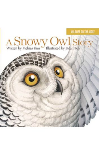 A Snowy Owl Story