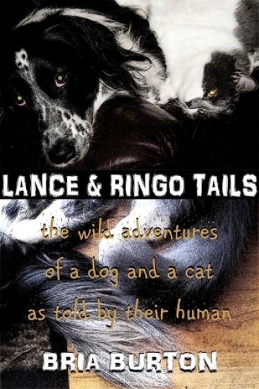 Lance & Ringo Tails