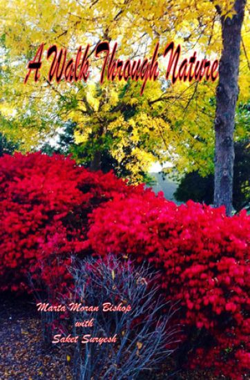 A Walk Through Nature