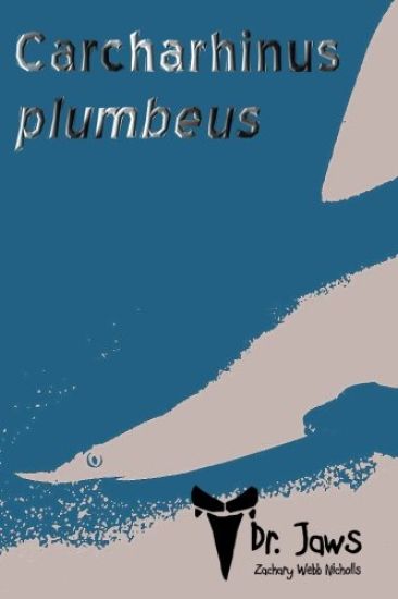 Carcharhinus plumbeus