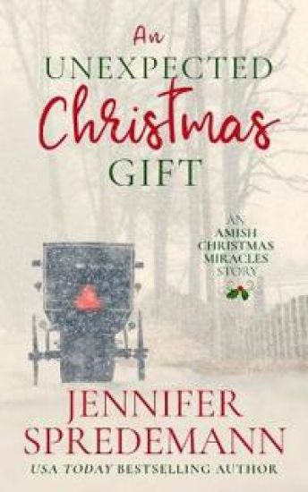 An Unexpected Christmas Gift