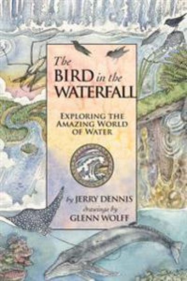 The Bird in the Waterfall: Exploring the Wonders of Water