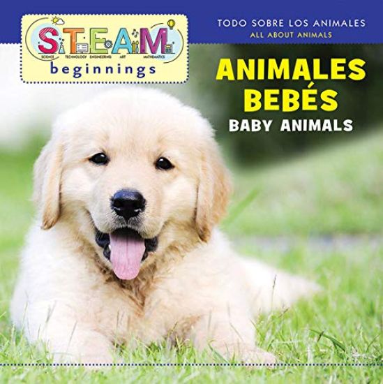 Baby Animals/Animales de Bebe