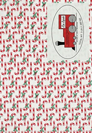 Lisa Lapinski: Miss Swiss