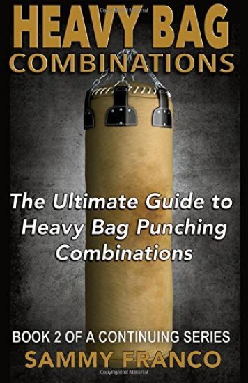 Heavy Bag Combinations