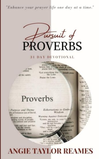 Pursuit of Proverbs: 31 Day Devotional